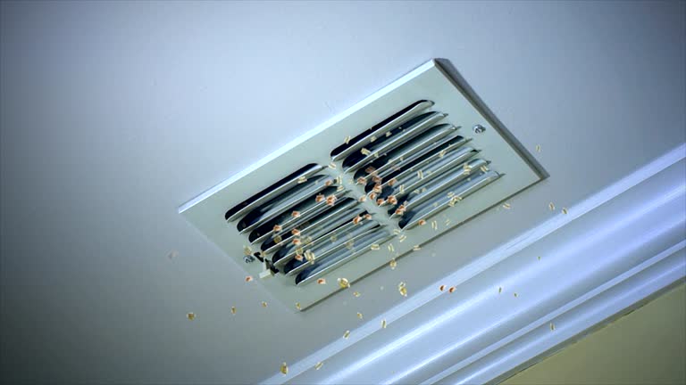 Best Best Air Duct Cleaning Company  in Fort Denaud, FL