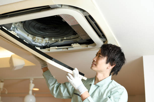 Best Ductwork Cleaning Services  in Fort Denaud, FL